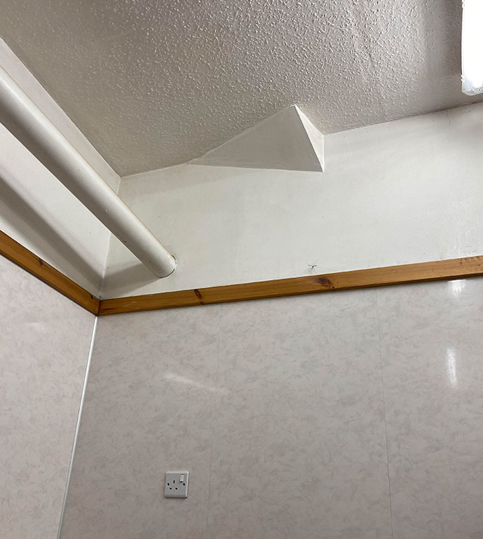 This Chunk Of Stairs That Pokes Out Of The Wall At My Work