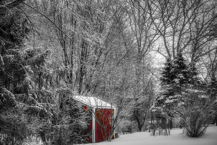Snow Day In New England