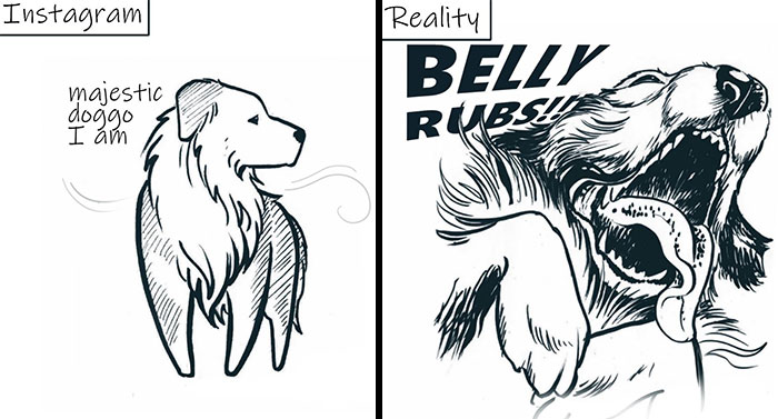 My 29 Comics That Show What It’s Like To Live With A Cat And A Dog