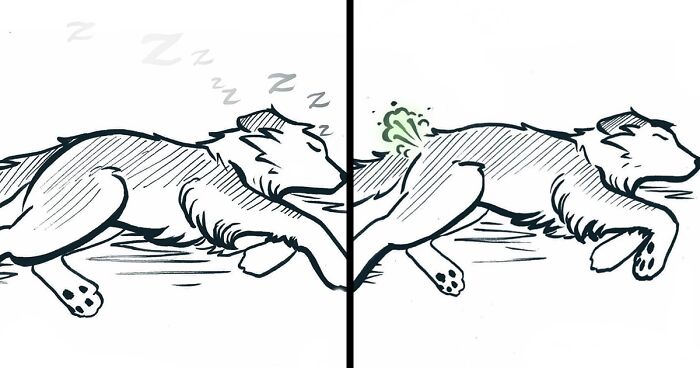 My 29 Comics That Show What It’s Like To Live With A Cat And A Dog