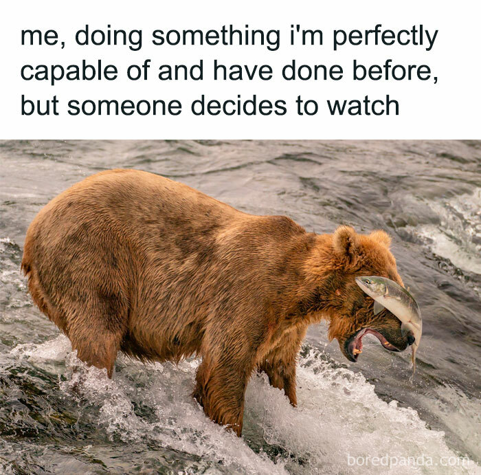 Bear catching fish in river with funny caption about relatable moments.