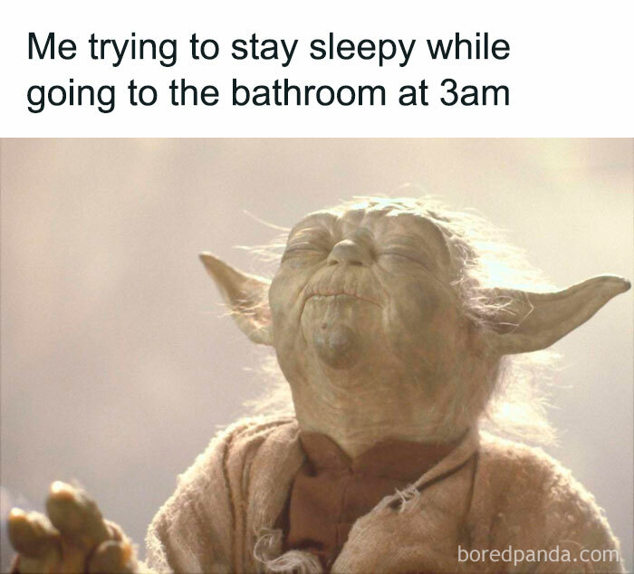 Yoda meme about staying sleepy while going to the bathroom at 3am. Hilarious meme most can relate to.