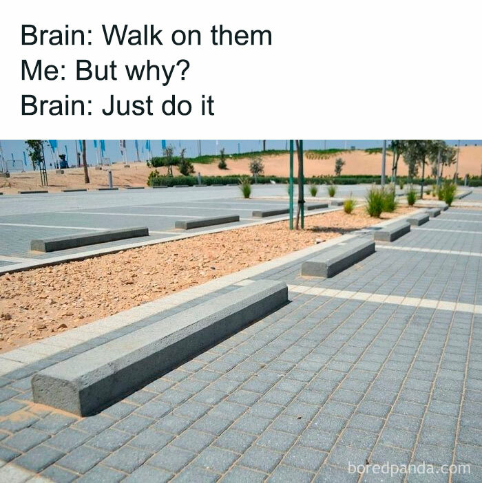 Concrete parking blocks in an empty lot with a relatable meme about the brain's impulsive thoughts.