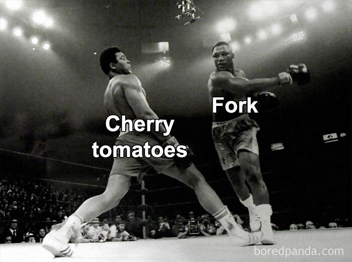 Boxing match meme with cherry tomatoes dodging a fork punch; relatable humor.