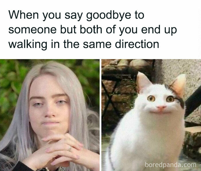 Funny meme showing a woman and a cat looking awkward with the caption about saying goodbye but walking the same way.