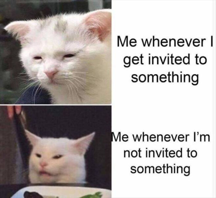 The Duality Of The Introvert