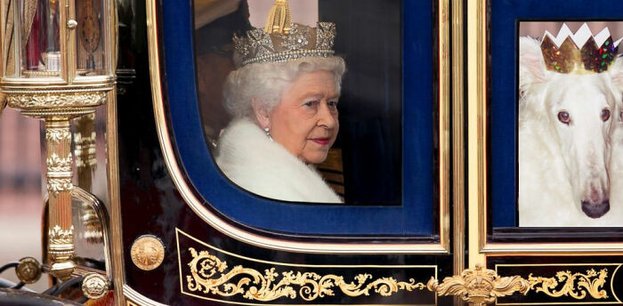 Belongs With The Roayals