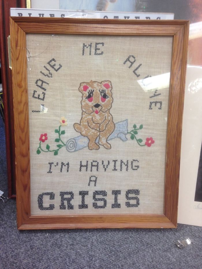 Bought It Because, Yes