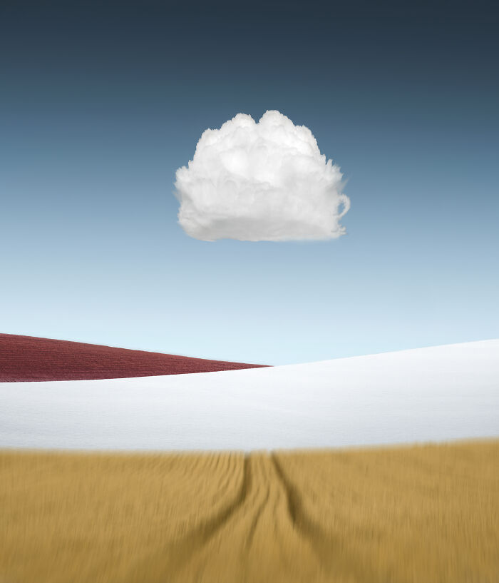 Japan 3rd Place: 'Fertility', By S. Muramatsu