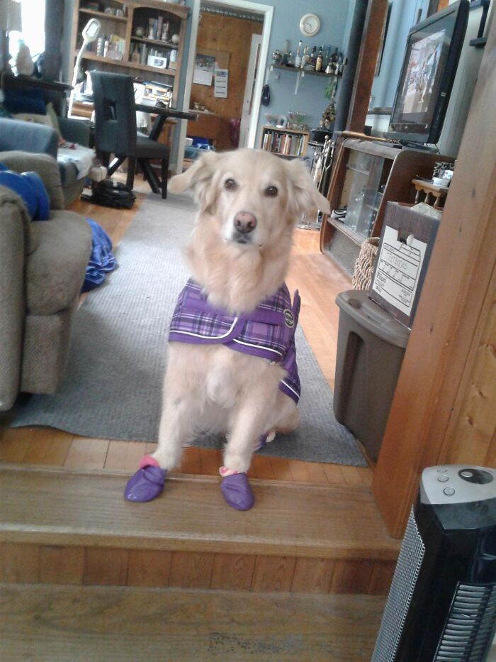 I'm Sophie, Dressed For Winter Here In Canada.