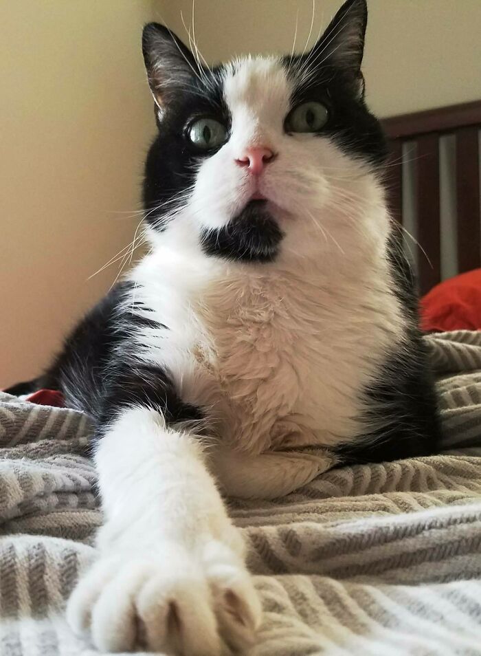 Spike Von Flooferpants