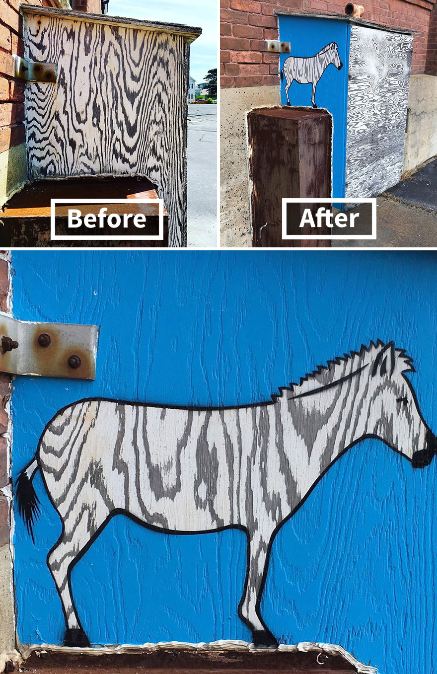 Zebra