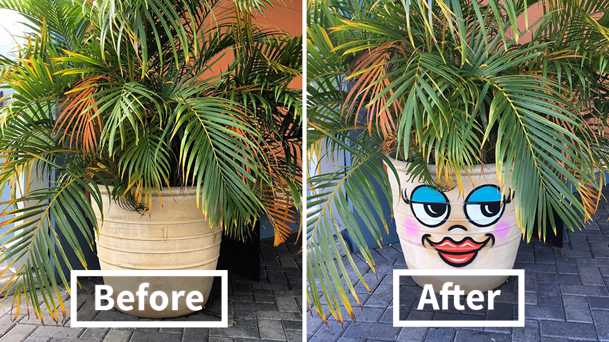 Who Needs A Haircut?