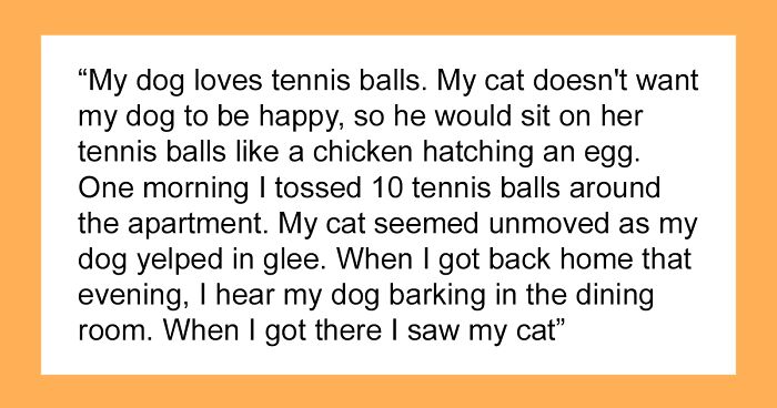 People Are Sharing The “Most Creepily Intelligent” Things Their Pets Have Done, And Here Are 41 Of The Best Responses