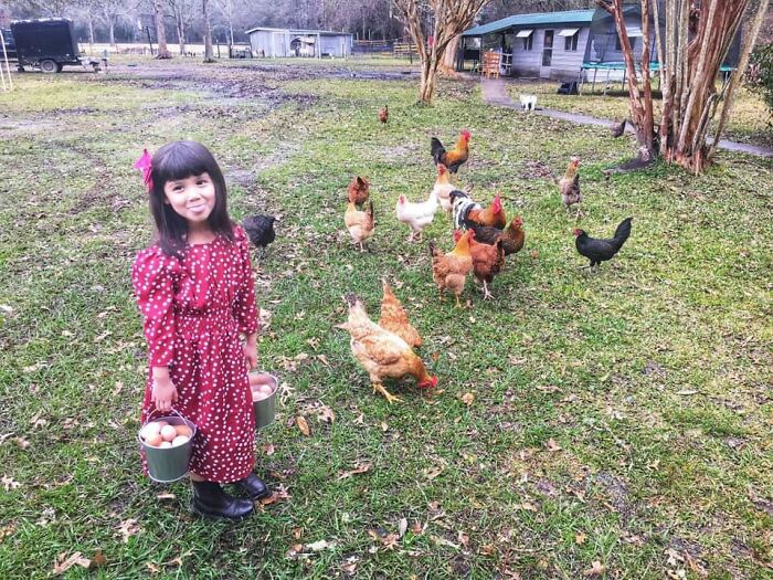 This Photo Of My Youngest Daughter Was In My Memories Today And Reminded Me Of The #targetdresschallenge Her Dress Is Actually From Dillard’s