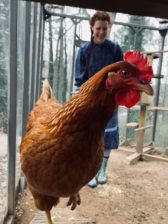 My Husband; Bless His Ever Loving Heart; Bought Me This Dress For Christmas