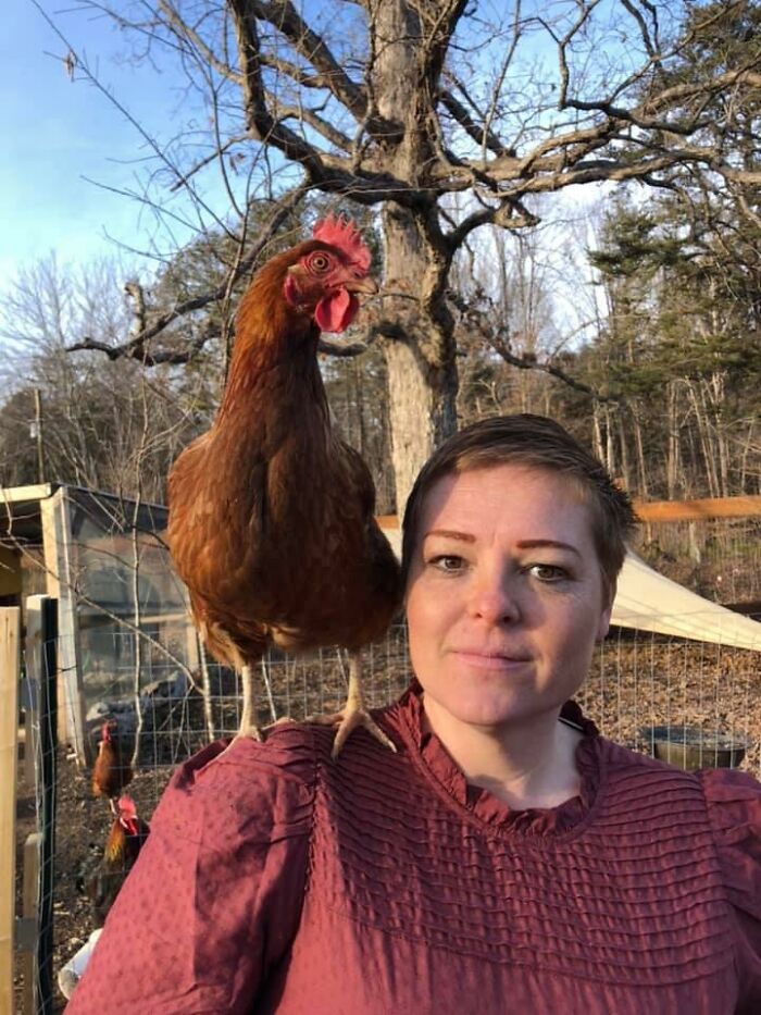 First, If You Don't Know What The #targetdresschallenge Is, You Should Stop And Google It If You're Confused--If You Like To Laugh, You'll Love It