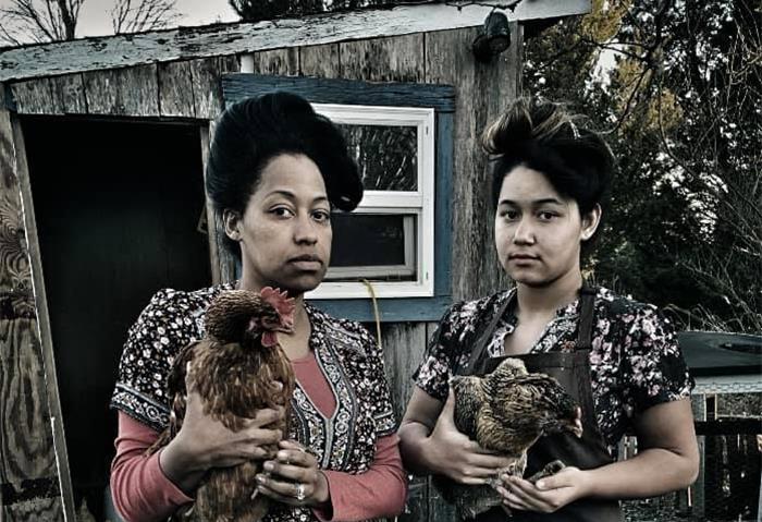 Day 196 Without Rain