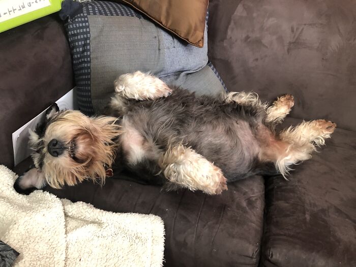 The Employee Of The Month! This Is How I Was Greeted When I Came In To The Office!