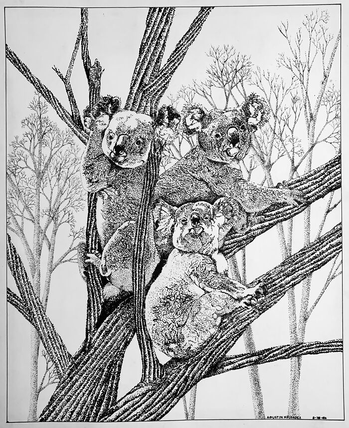 I'm Greedy. This Is My Second Post. Am I Allowed To Post Twice? I Posted Twice. I Was 17. I Have Lots More, But I Won't Post Anymore. This Type Of Artwork Is Called Stippling---Just Dots!