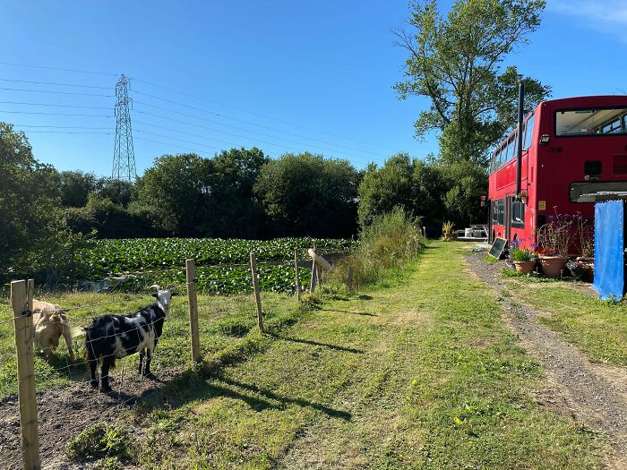 Couple Buys A London Double Decker Bus, Turns It Into A Dream Home Complete With A Fireplace And A Bathtub, Lives Mortgage Free Couple Buys A London Double Decker Bus, Turns It Into A Dream Home Complete With A Fireplace And A Bathtub, Lives Mortgage Free