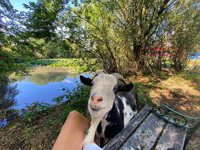 Couple Buys A London Double Decker Bus, Turns It Into A Dream Home Complete With A Fireplace And A Bathtub, Lives Mortgage Free Couple Buys A London Double Decker Bus, Turns It Into A Dream Home Complete With A Fireplace And A Bathtub, Lives Mortgage Free