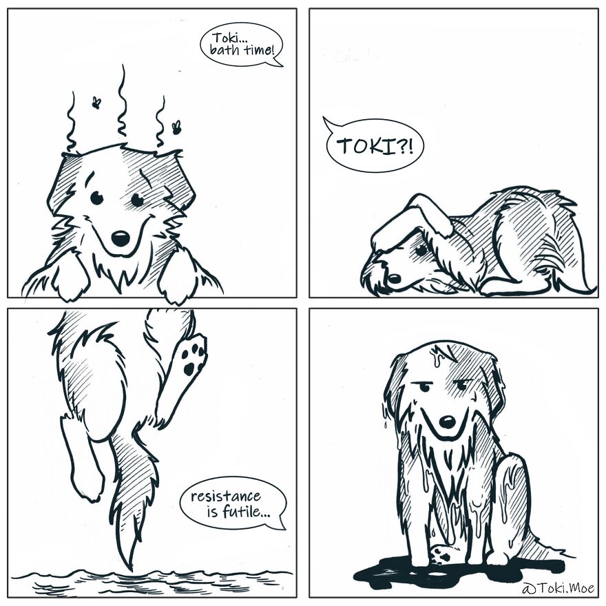 Relatable Comics That Sum Up The Simple Beauty Of Living With Our Pets!