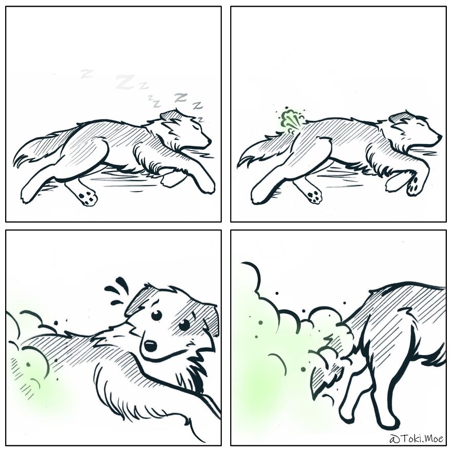 Relatable Comics That Sum Up The Simple Beauty Of Living With Our Pets!