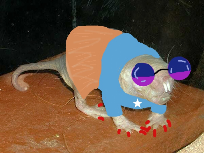 Still Ugly But Slightly Fashionable Lol