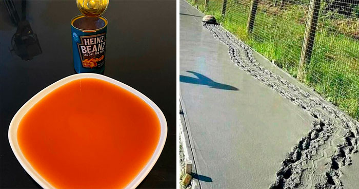 30 Veces que el universo dijo «No» a la gente