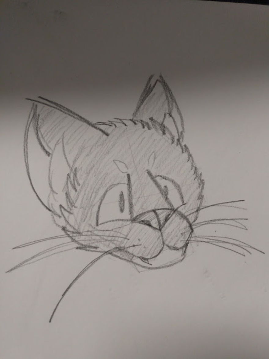 Thought I Might As Well Experiment With A Sketch Of My Cat, Hazel