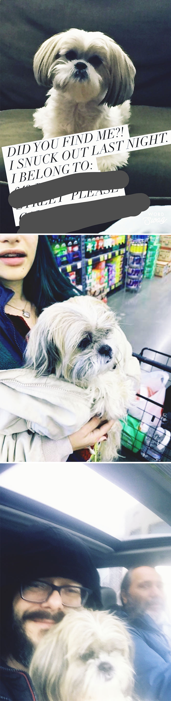 Lost Dog Returned, A Play In 3 Pics