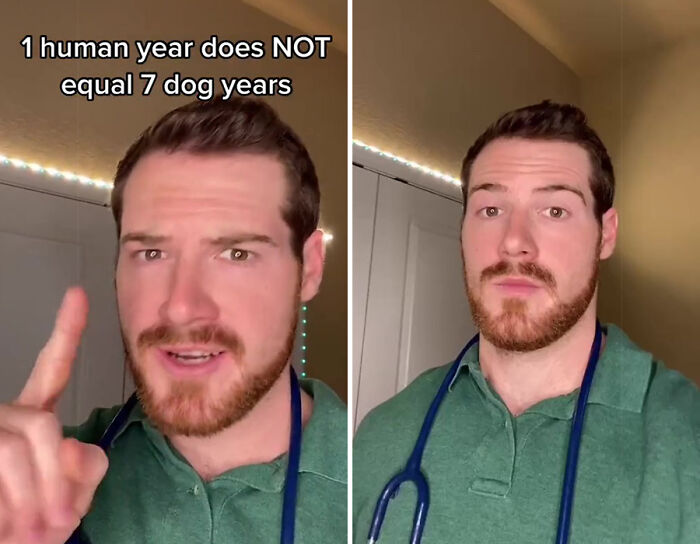 Vet Explains How To Count Dog Years And It Appears 1 Human Year Is Not Equal To 7 Dog Years Vet Explains How To Count Dog Years And It Appears 1 Human Year Is Not Equal To 7 Dog Years