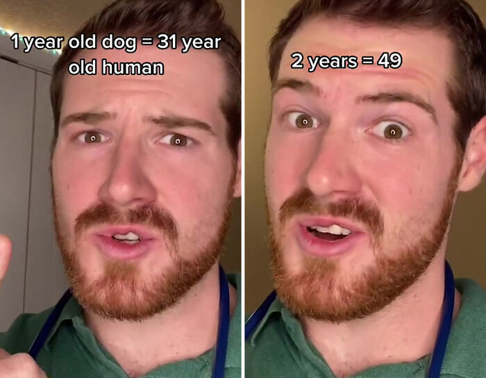 Vet Explains How To Count Dog Years And It Appears 1 Human Year Is Not Equal To 7 Dog Years Vet Explains How To Count Dog Years And It Appears 1 Human Year Is Not Equal To 7 Dog Years