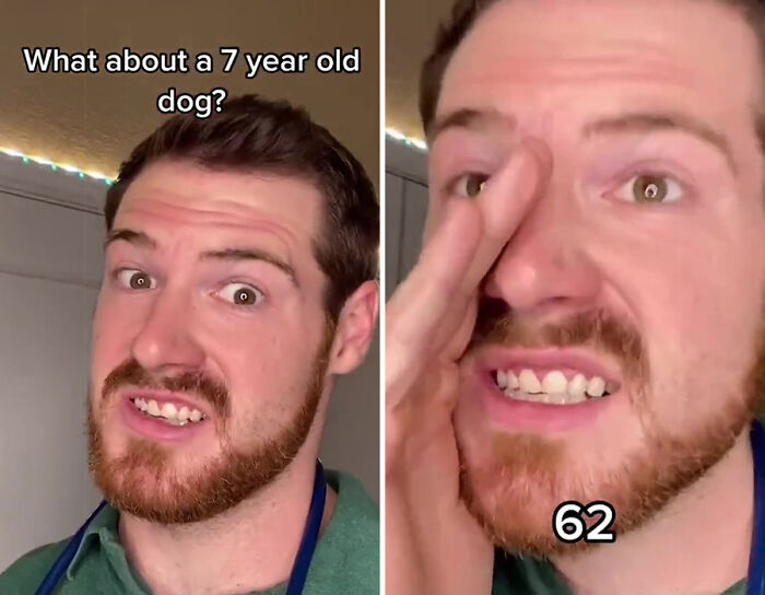 Vet Explains How To Count Dog Years And It Appears 1 Human Year Is Not Equal To 7 Dog Years