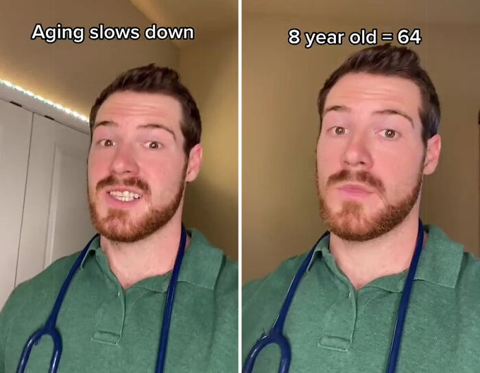 Vet Explains How To Count Dog Years And It Appears 1 Human Year Is Not Equal To 7 Dog Years