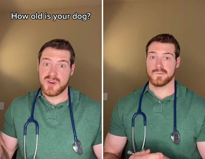Vet Explains How To Count Dog Years And It Appears 1 Human Year Is Not Equal To 7 Dog Years