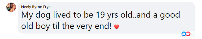 Vet Explains How To Count Dog Years And It Appears 1 Human Year Is Not Equal To 7 Dog Years