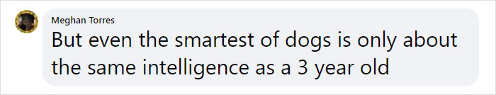 Vet Explains How To Count Dog Years And It Appears 1 Human Year Is Not Equal To 7 Dog Years Vet Explains How To Count Dog Years And It Appears 1 Human Year Is Not Equal To 7 Dog Years