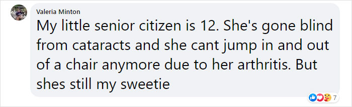 Vet Explains How To Count Dog Years And It Appears 1 Human Year Is Not Equal To 7 Dog Years Vet Explains How To Count Dog Years And It Appears 1 Human Year Is Not Equal To 7 Dog Years