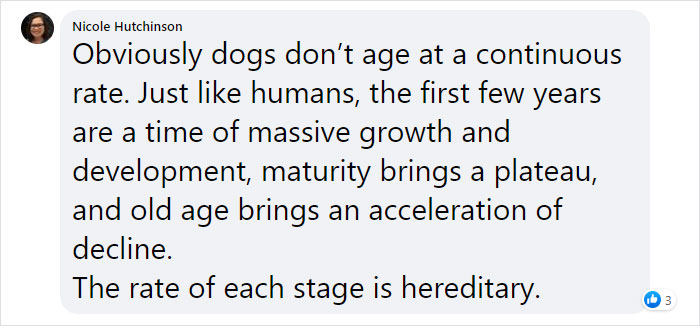 Vet Explains How To Count Dog Years And It Appears 1 Human Year Is Not Equal To 7 Dog Years Vet Explains How To Count Dog Years And It Appears 1 Human Year Is Not Equal To 7 Dog Years