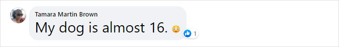 Vet Explains How To Count Dog Years And It Appears 1 Human Year Is Not Equal To 7 Dog Years Vet Explains How To Count Dog Years And It Appears 1 Human Year Is Not Equal To 7 Dog Years