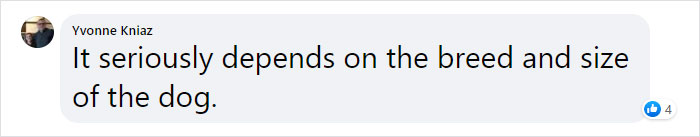 Vet Explains How To Count Dog Years And It Appears 1 Human Year Is Not Equal To 7 Dog Years Vet Explains How To Count Dog Years And It Appears 1 Human Year Is Not Equal To 7 Dog Years