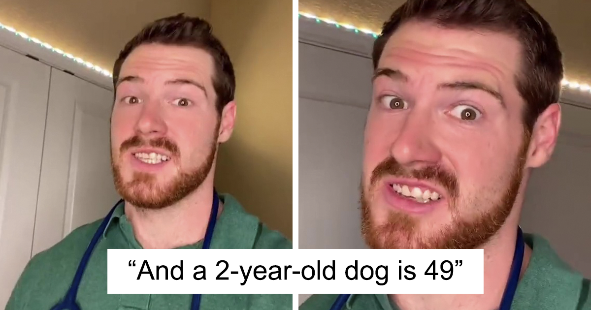 Vet Explains How To Count Dog Years And It Appears 1 Human Year Is Not Equal To 7 Dog Years