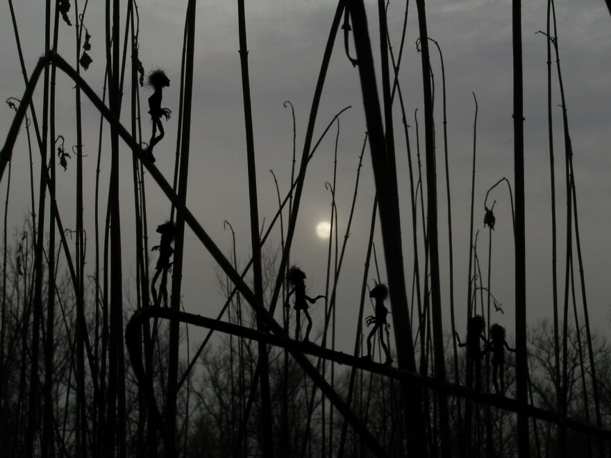 A Fairy Trail: Zdenko Ba&scaron;ić Is A Fae Folk Tale Collector For Modern Times