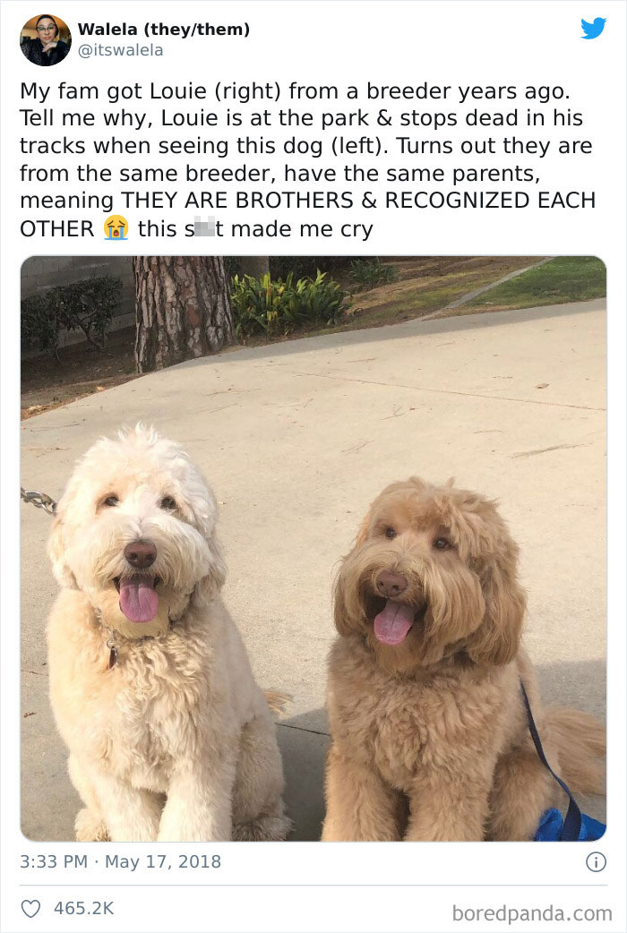 They Better Have Regular Play Dates From Here On Out