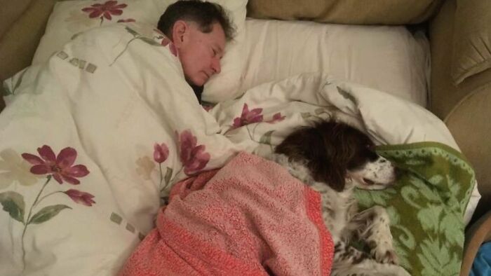 Dad Sleeps Downstairs On Sofa With Senior Dog To Keep Him Company