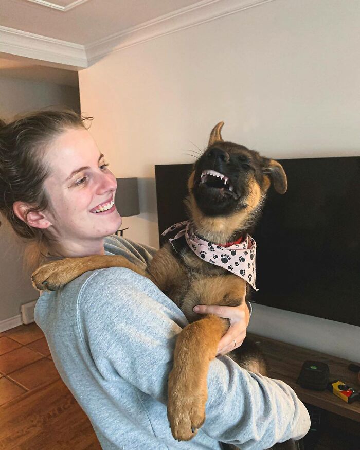 Finally A Funny Joke From The Hooman