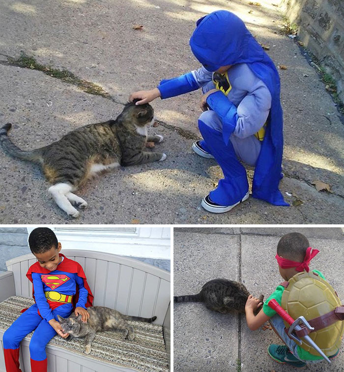5-Year-Old Shon Dresses Up To Help Street Cats Because "It Makes Him Feel Like A Superhero For Animals"