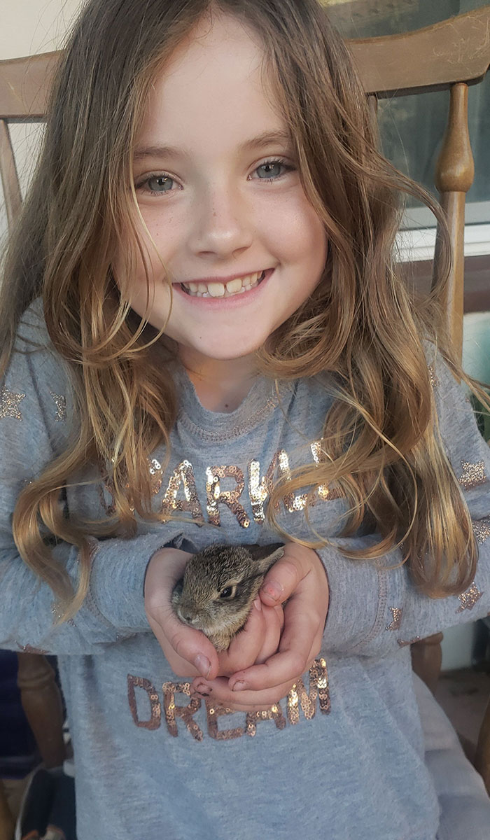 My Daughter Saved This Baby Bunny From A Cat Today